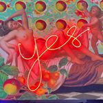 Scott Young Studio - @scottyoungstudio - Instagram