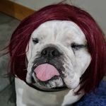 Scott Youngson - @scottyoungson1 - Instagram