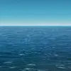 Scott Zareski - @scottzareski - TikTok