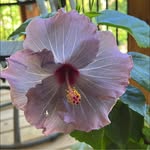 Scott Zerbes - @scottzerbes - Instagram