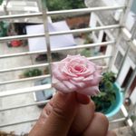 scottzhou - @scottzhou1870 - Instagram