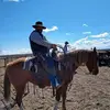 idaho cowboy - @scottzimmers - TikTok