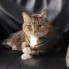 Scott Zimmer - @scott.zimmer22 - TikTok