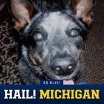 Scott Zych - @scottzych - Instagram