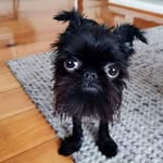 Scottie Bell - @scottiebell12 - Instagram