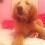 Scottie Edwards - @scottieedwards70 - Instagram