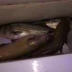 @scottie_ford69 - Instagram