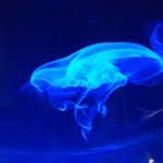 @scottie_hunter10 - Instagram