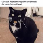 Scott Ryan - @scottyb.ryan - Instagram
