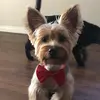 Scott Edge - @scottedge - TikTok