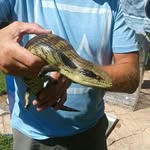 Scotty Graham - @scottygraham1880 - Instagram