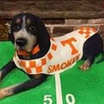 Scotty Roberts - @scottyr834 - Instagram