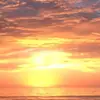 Scotty Roberts - @scotty.roberts2 - TikTok