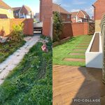 Scotty Thomas - @sjt_construction_ - Instagram