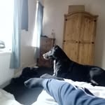 Scotty Walker - @scotty.walker.100483 - Instagram