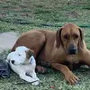 scottyward485 - @scottyward485 - TikTok