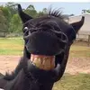 scottyward977 - @scottyward977 - TikTok