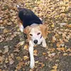 ScottyWard99 - @sww_99 - TikTok