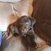Scotty Warren - Facebook