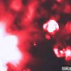 SCOTTY YOUNG - @scotty_young - TikTok
