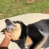 scout_smith5 - @scout_smith5 - TikTok