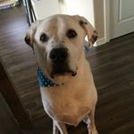 Scout Smith - @scout_smith_5 - Instagram