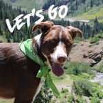 Scout Smith - @scout.the.explorer - Instagram