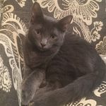 Scout Wright - @thedailyscout_ - Instagram
