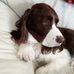 Esther Scovill Walker - Facebook