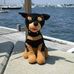 Scruff McGruffs - Facebook