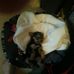 Scruffy Mcgruff - Facebook