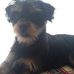 Scruffy Mcgruffy - Facebook