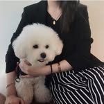 se young - @aeyonng2 - Instagram