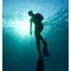 Adam's Sea Masters - @seamasters1 - TikTok