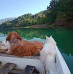 Sead Causevic - Facebook