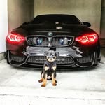 Sead Muratovic - @sead895 - Instagram