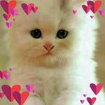 Seada Mohammed - @seada.mohammed.96592836 - Instagram