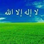 Seada Mohammed - @seadamohammed185 - Instagram