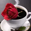 🌸Seadi💝🌹🌺 - @seadamohammed86 - TikTok
