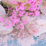 Seah Lee - @seah.lee.96558 - Instagram