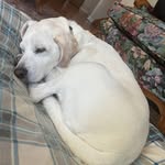 Seamus bailey - @seamus3332 - Instagram