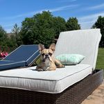 Seamus - @seamus_devlin1 - Instagram