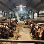 Seamus Doyle - @seamus.doyle.180 - Instagram