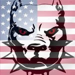 Seamus Doyle - @seamus.doyle.501 - Instagram