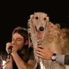 seam - @seamus.giveen - TikTok