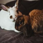Hunter & Seamus - @hunterandseamus - Instagram