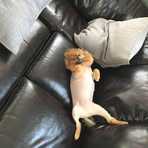 Seamus Anthony Sullivan - Facebook