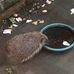 Seamus Ward - Facebook