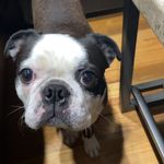 Seamus Ward - @sea_moose12 - Instagram