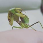 Sean Abel Baskoro - @seanbaskoro - Instagram